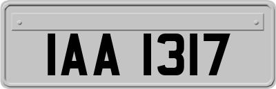 IAA1317