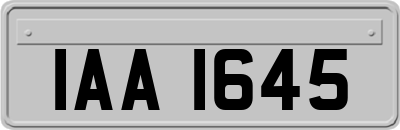 IAA1645