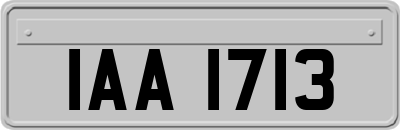 IAA1713