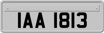IAA1813
