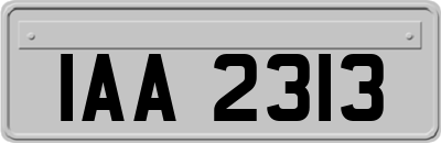 IAA2313