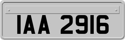 IAA2916