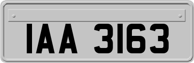 IAA3163