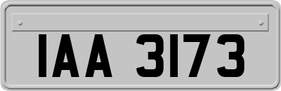 IAA3173