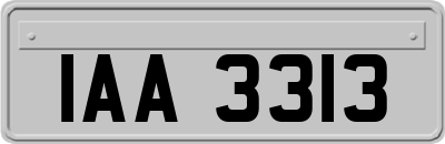 IAA3313