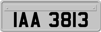 IAA3813