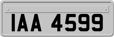 IAA4599