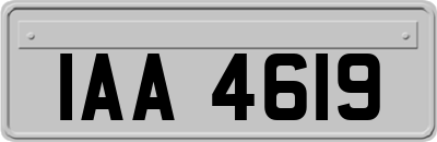IAA4619