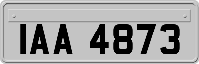 IAA4873
