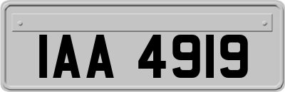 IAA4919