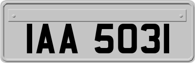 IAA5031