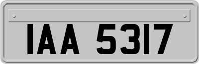 IAA5317
