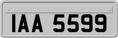IAA5599