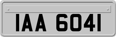 IAA6041