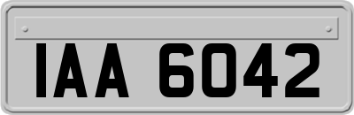 IAA6042