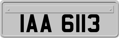 IAA6113