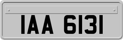 IAA6131