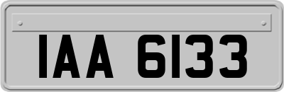 IAA6133