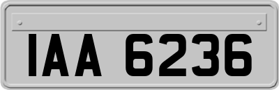 IAA6236