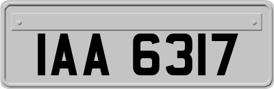 IAA6317