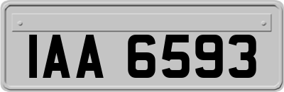 IAA6593