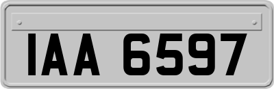 IAA6597