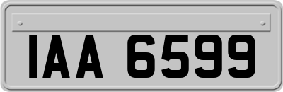 IAA6599