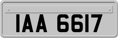 IAA6617