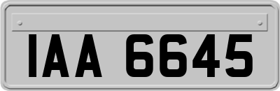 IAA6645