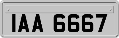IAA6667