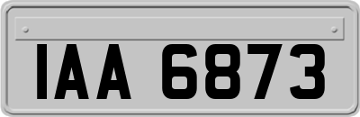 IAA6873