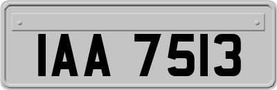 IAA7513