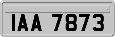 IAA7873