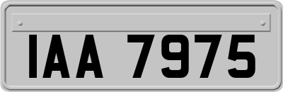 IAA7975