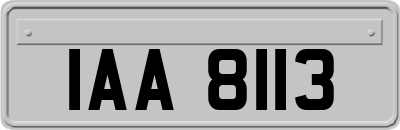 IAA8113