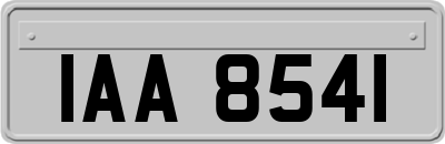 IAA8541