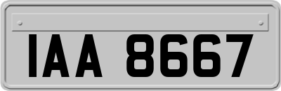 IAA8667