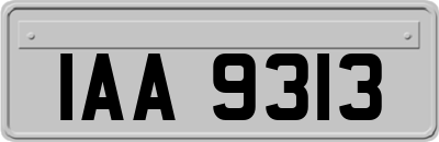 IAA9313