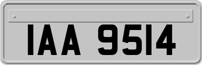 IAA9514