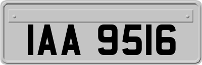 IAA9516