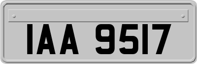IAA9517