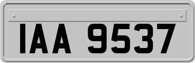 IAA9537