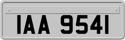 IAA9541