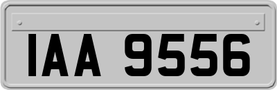 IAA9556