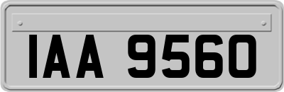IAA9560