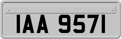 IAA9571