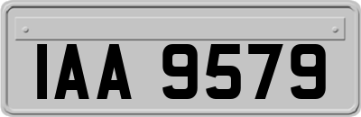 IAA9579