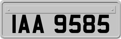 IAA9585