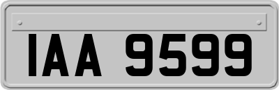 IAA9599