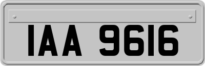 IAA9616
